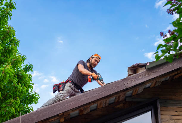 Best Skylight Installation and Repair  in Tuba City, AZ